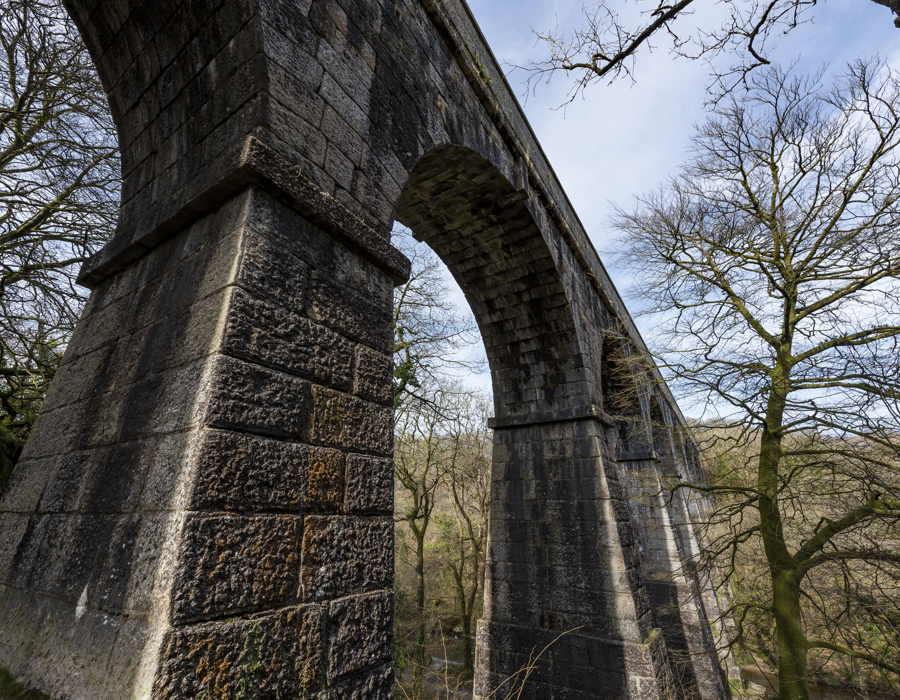 Treffry Viaduct, Luxulyan Valley, March 2021 - Wide-Angle